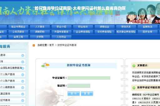 如何查询学位证真假-大专学问证书怎么查询真伪啊