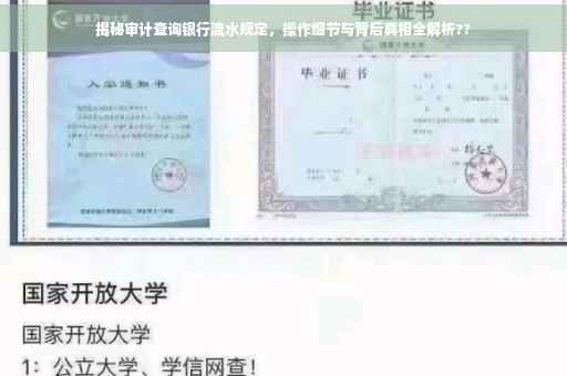 揭秘审计查询银行流水规定，操作细节与背后真相全解析??