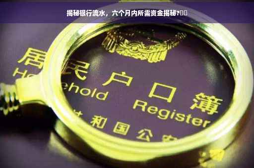 揭秘银行流水，六个月内所需资金揭秘?⚡️