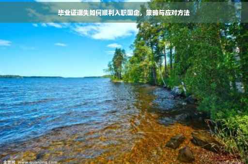 毕业证遗失如何顺利入职国企，策略与应对方法