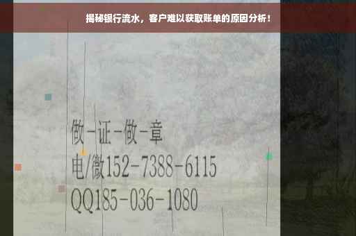 揭秘银行流水，客户难以获取账单的原因分析！