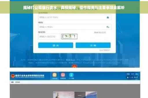 揭秘打公司银行流水，真相揭秘、操作指南与注意事项全解析