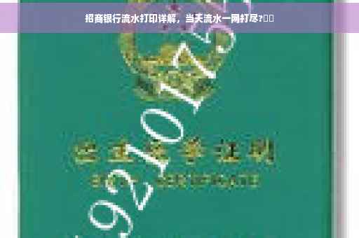 招商银行流水打印详解，当天流水一网打尽?⚡️