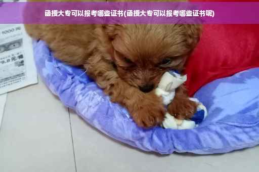 函授大专可以报考哪些证书(函授大专可以报考哪些证书呢)