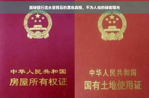 揭秘银行流水章背后的黑色真相，不为人知的秘密曝光