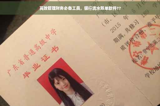 高效管理财务必备工具，银行流水账单软件??