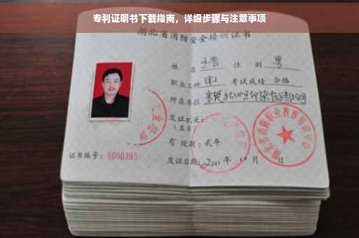 专利证明书下载指南，详细步骤与注意事项