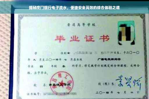 揭秘虎门银行电子流水，便捷安全高效的综合体验之道