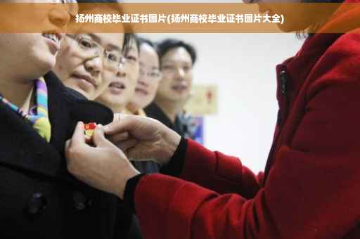 扬州商校毕业证书图片(扬州商校毕业证书图片大全)
