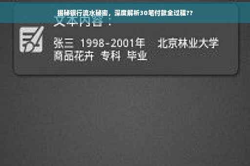 揭秘银行流水秘密，深度解析30笔付款全过程??