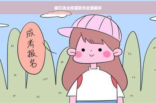 银行流水结算软件全面解析