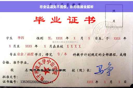 毕业证遗失不用慌，补办攻略全解析