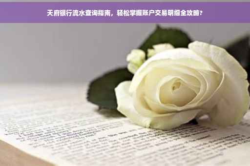 天府银行流水查询指南，轻松掌握账户交易明细全攻略?