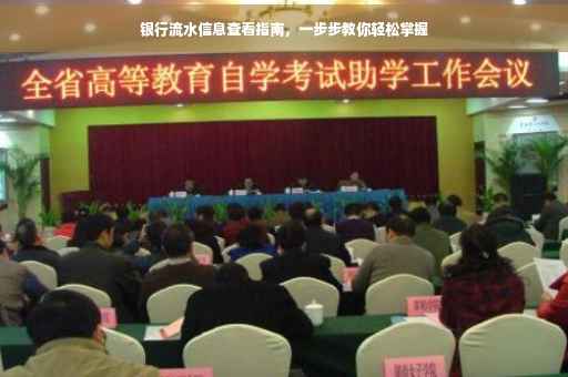 银行流水信息查看指南，一步步教你轻松掌握