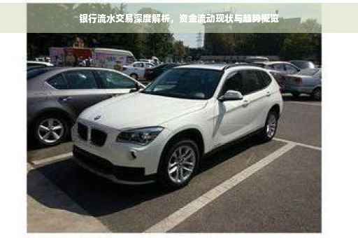 银行流水交易深度解析，资金流动现状与趋势概览