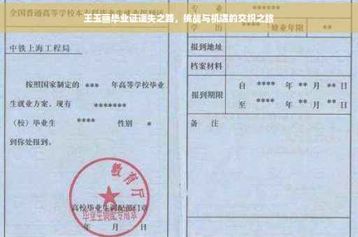 王玉丽毕业证遗失之路，挑战与机遇的交织之旅