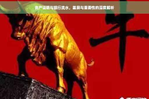资产证明与银行流水，差异与重要性的深度解析