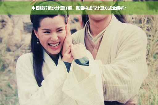 中国银行流水计算详解，账目构成与计算方式全解析?