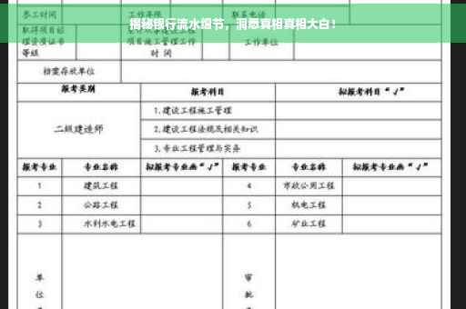 揭秘银行流水细节，洞悉真相真相大白！