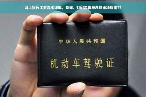 网上银行工资流水详解，查询、打印流程与注意事项指南??