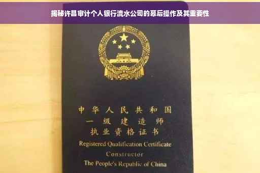 揭秘许昌审计个人银行流水公司的幕后操作及其重要性