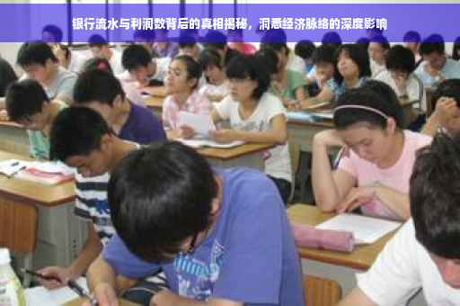 银行流水与利润数背后的真相揭秘，洞悉经济脉络的深度影响