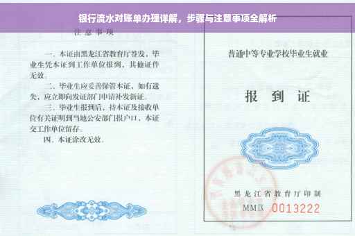 银行流水对账单办理详解，步骤与注意事项全解析