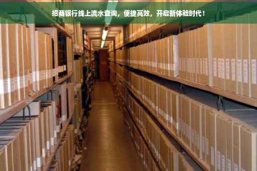 招商银行线上流水查询，便捷高效，开启新体验时代！