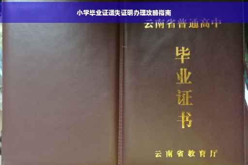 小学毕业证遗失证明办理攻略指南