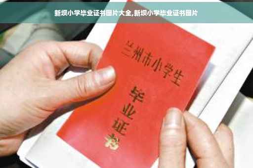 新坝小学毕业证书图片大全,新坝小学毕业证书图片