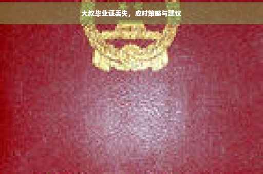 大叔毕业证丢失，应对策略与建议