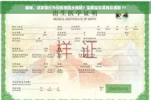 揭秘，这家银行为何拒绝流水拖延？深度探究其背后原因 ??