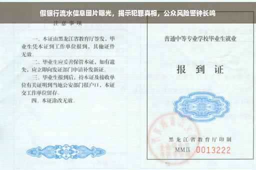 假银行流水信息图片曝光，揭示犯罪真相，公众风险警钟长鸣