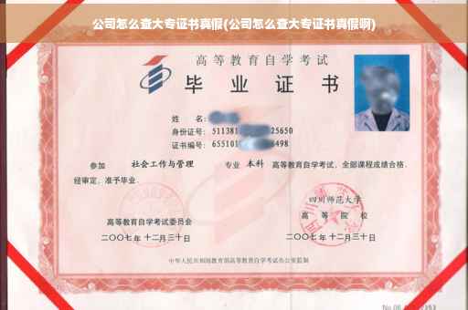 公司怎么查大专证书真假(公司怎么查大专证书真假啊)