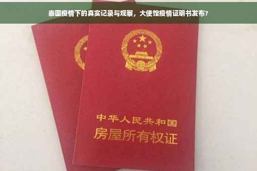泰国疫情下的真实记录与观察，大使馆疫情证明书发布?