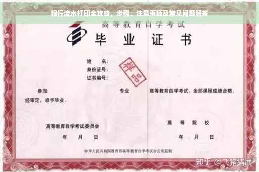 银行流水打印全攻略，步骤、注意事项及常见问题解答