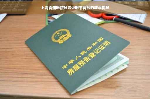 上海青浦医院急诊证明书背后的故事揭秘