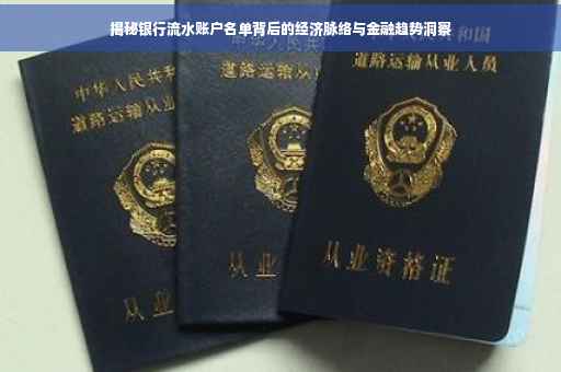 揭秘银行流水账户名单背后的经济脉络与金融趋势洞察