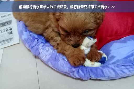 解读银行流水账单中的工资记录，银行能否只打印工资流水？??
