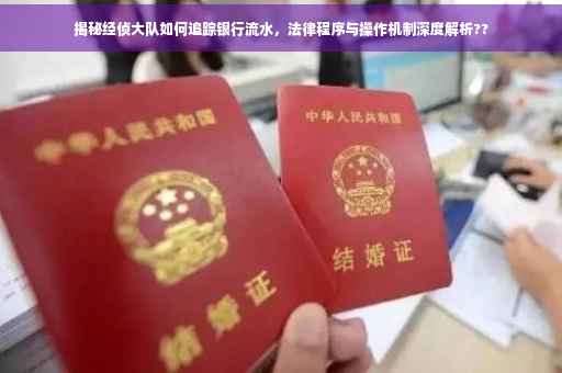 揭秘经侦大队如何追踪银行流水，法律程序与操作机制深度解析??