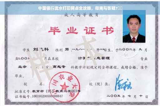 中国银行流水打印网点全攻略，指南与答疑?⚡️