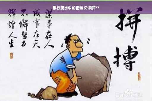 银行流水中的借含义详解??