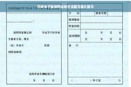 日本电子版接种证明书详解及图片展示