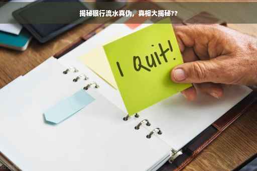 揭秘银行流水真伪，真相大揭秘??