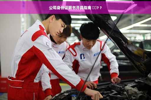 公司身份证明书开具指南 ⚡️? ?