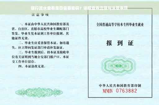 银行流水查看是否需要密码？详解查看流程与注意事项