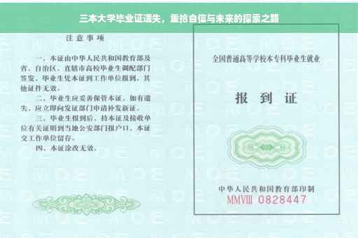 三本大学毕业证遗失，重拾自信与未来的探索之路