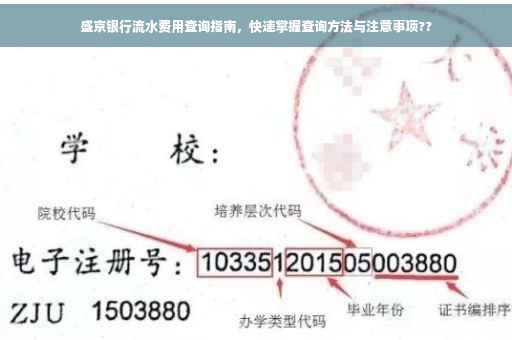 盛京银行流水费用查询指南，快速掌握查询方法与注意事项??