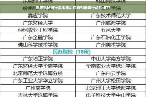 警方揭秘银行流水背后的真相调查行动启动??