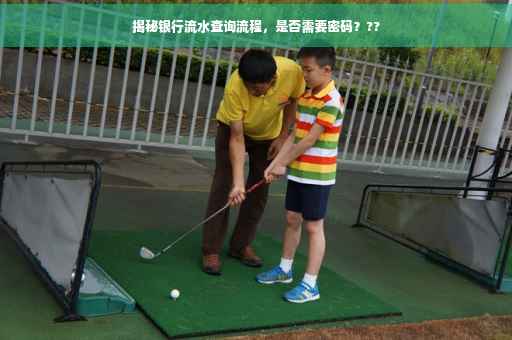揭秘银行流水查询流程，是否需要密码？??